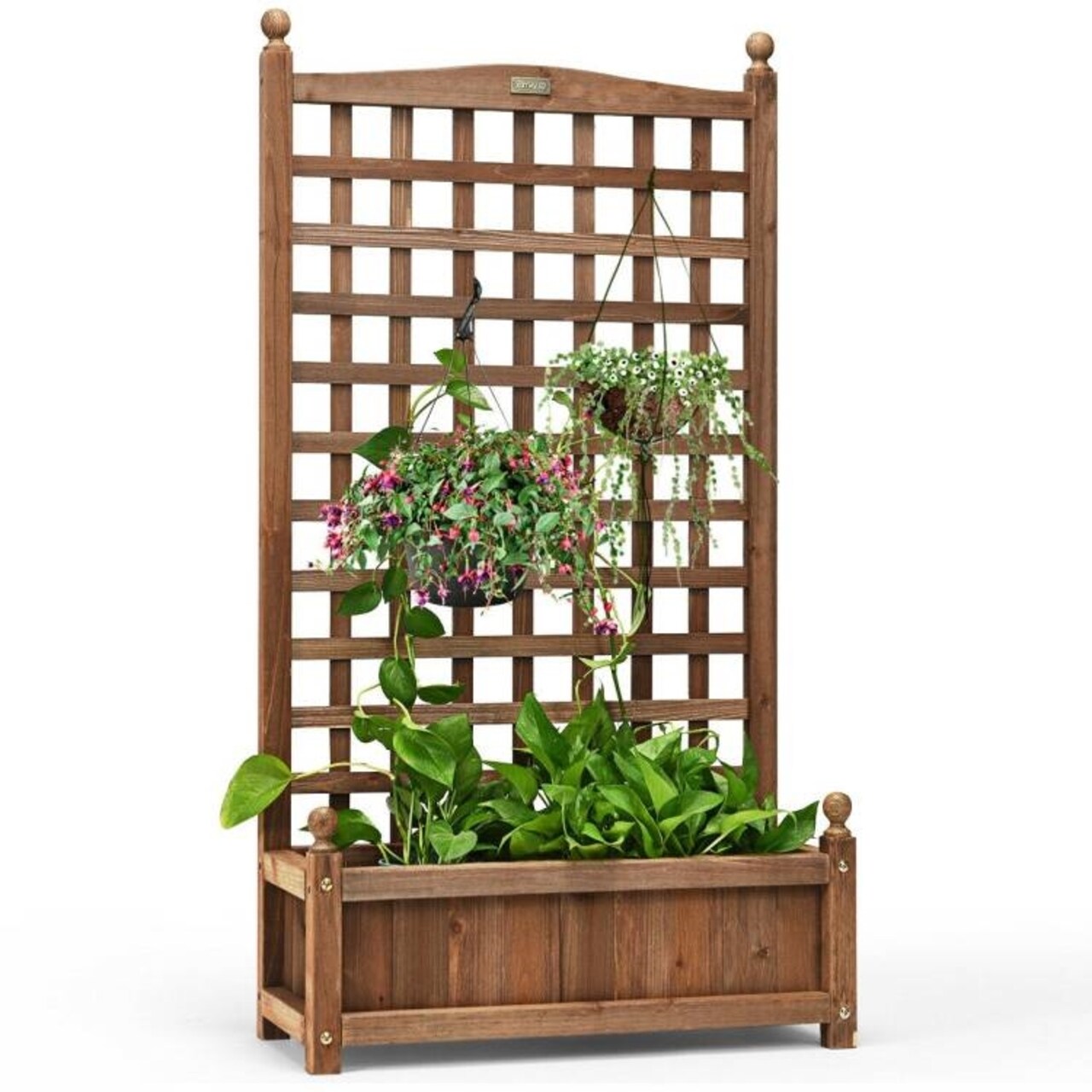 Dark Brown Fir Wood Outdoor Planter with Trellis Large Flower Box for Garden Balcony Yard